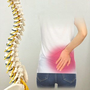 山田式 ブラック腰椎コルセット L