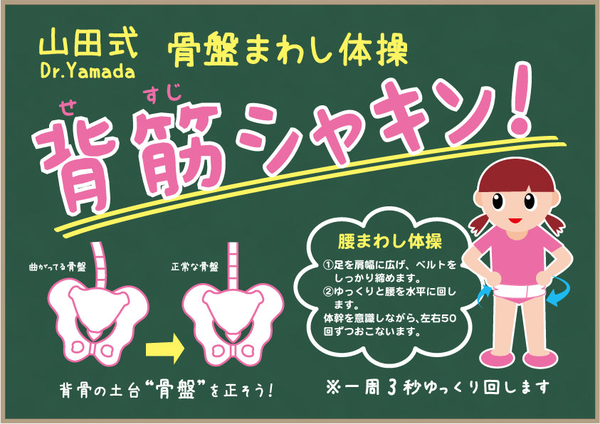 山田式 骨盤ストロングベルト M